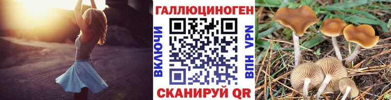 Псилоцибиновые грибы Magic Shrooms  мориарти телеграм  Новозыбков  закладка 